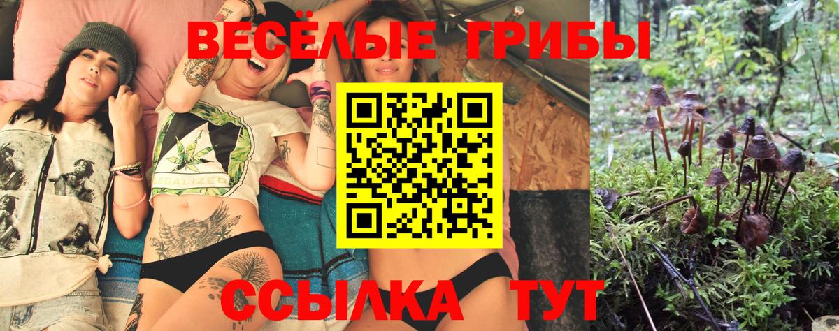 купить  цена  Псилоцибиновые грибы Psilocybine cubensis  Вход с VPN  Фурманов  Псилоцибиновые грибы Psilocybe 