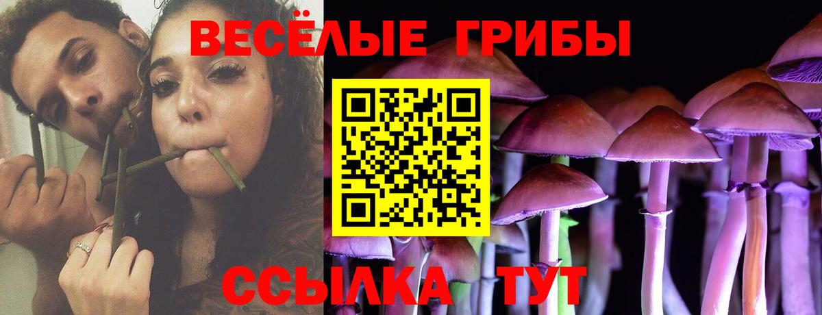 Псилоцибиновые грибы мицелий Фурманов